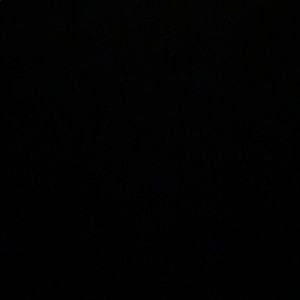 Meet your Posher, Ava